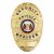 SECURITY PRIVATE OFFICER GOLD SHIELD BADGE