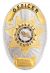 OFFICER PRIVATE SECURITY GOLD ON SILVER SHIELD BADGE