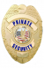 PRIVATE SECURITY GOLD EAGLE BADGE