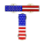 FIRST CLASS RECTANGULAR US FLAG PIN